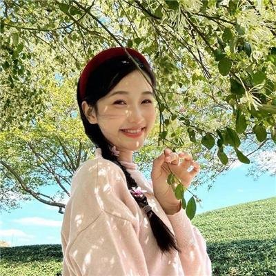 粉红蝴蝶